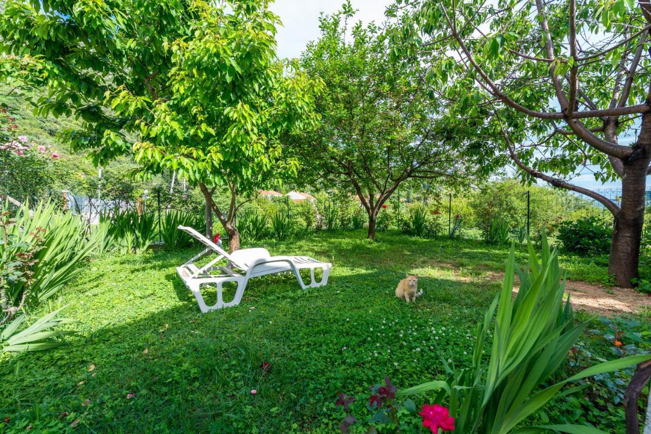 Holiday Home Garden Zaton  Dış mekan fotoğraf